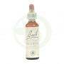 Flores de Rosa Silvestre de Bach (Rosa Silvestre) 20Ml. Bach