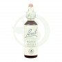Flores violetas de água de Bach (violetas) 20Ml. Bach