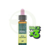 Pack 3x Elixir Floral 37 Rosa Silvestre 10ml Plantis