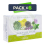 Pack 6x Hepur ECO 20 Viales Plantis