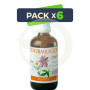 Pack 6x Dormiligo 100Ml. Plantis