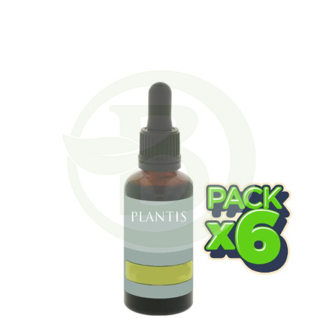 Pack 6x Extracto De Ginkgo Biloba 50Ml. Plantis