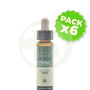 Pack 6x Elixir Floral 13 Gorse 10Ml. Plantis
