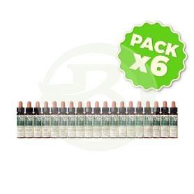 Pack 6x Elixir Floral 19 Larch 10Ml. Plantis