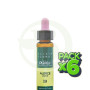 Pack 6x Elixir Floral 19 Larch 10Ml. Plantis