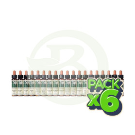 Pack 6x ELIXIR FLORAL 27 AGUA ROCA 10Ml. PLANTIS
