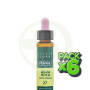 Pack 6x ELIXIR FLORAL 27 AGUA ROCA 10Ml. PLANTIS