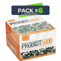 Pack 6x Probiot 5.000 Lactobacilus 15 Sobres Plantis