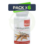 Pack 6x Cordyceps 60 Cápsulas Plantis