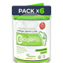 Pack 6x Colágeno Hidrolizado 300Gr. Pinisan