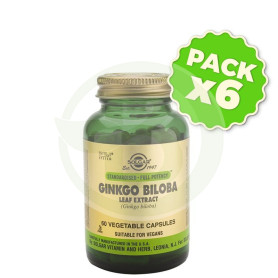 Pack 6x Ginkgo Biloba 60 Cápsulas Solgar