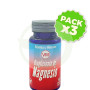 Pack 3x Bisglicinato De Magnesio 90 Capsulas Vegetales Ynsadiet
