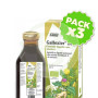 Pack 3x Gallexier Jarabe 250Ml. Salus
