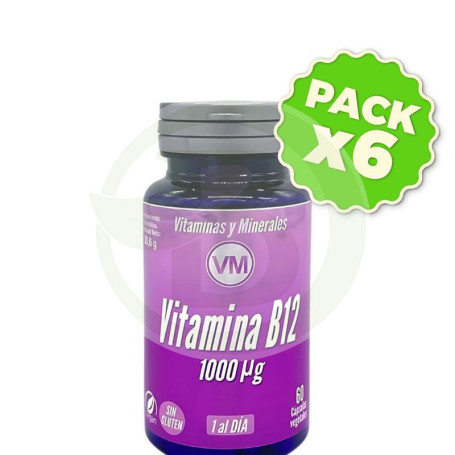 Pack 6x Vitamina B12 Nueva Formula 60 Capsulas Vegetales Ynsadiet