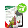 Pack 6x Floradix Jarabe 250Ml. Salus