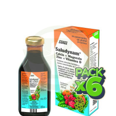 Pack 6x Saludynam Xarope 250Ml. Salus