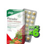 Pack 6x Floradix Comprimidos Salus
