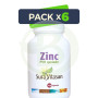 Pack 6x Zinc PVH Quelado 25Mg. 100 Cápsulas Sura Vitasan
