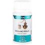 Essential Oils Orégano 60 Pérolas Equisalud