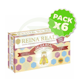 Pack 6x Reina Real Junior 20 Ampollas Robis