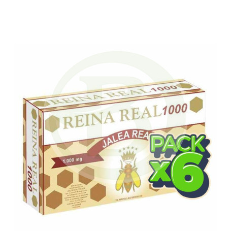 Pack 6x Reina Real 1000 20 Ampollas Robis