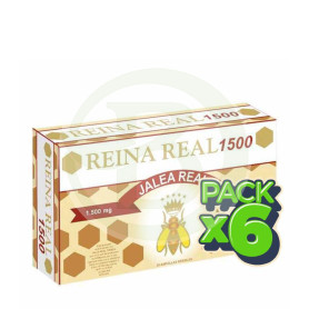Pack 6x Reina Real 1500 20 Ampollas Robis