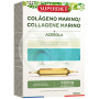 Colagenio Marinho com Acerola 20 Ampolas Superdiet