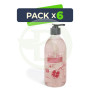 Pack 6x Gel de Aloe Vera y Granada 500Ml. Derbos