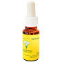 Pasionaria Flor 20Ml Essências do Mediterrâneo
