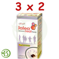 Pack 3x2 Geleia Real Fresca 20Gr. Pinisán
