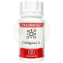 Holomega Colagénio Ii Articular 50 Cápsulas Equisalud