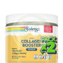 Pack 2x Vegan Collagen Booster en Polvo Sabor Vainilla 173G Solaray