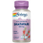 Shatavari 500Mg 60 Cápsulas Vegetais Solaray
