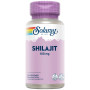 Shilajit 100Mg 30 Cápsulas Vegetais Solaray