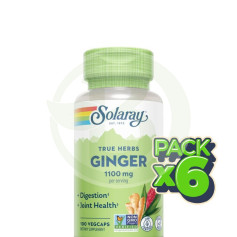 Pack 6x Raíz De Jengibre 550Mg 100 Cápsulas Vegetales Solaray
