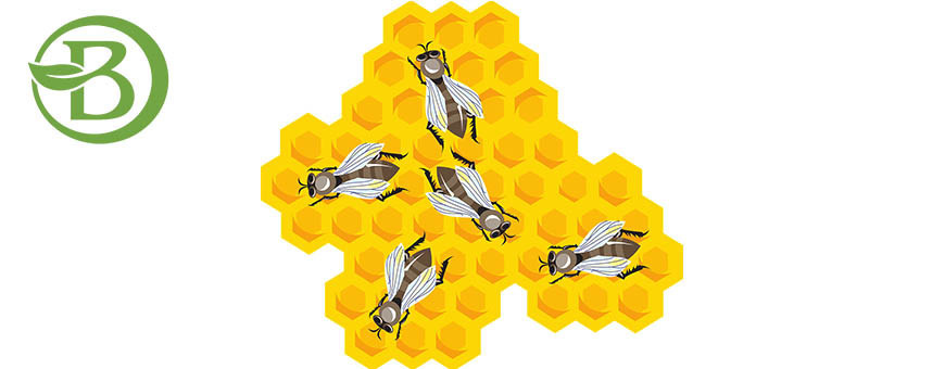 Própolis