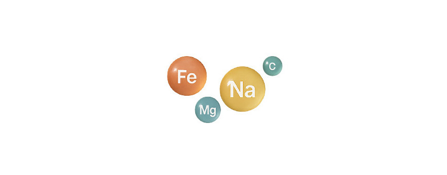 Minerales y Oligoelementos